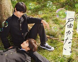 动画片猫和老鼠大海报剧照